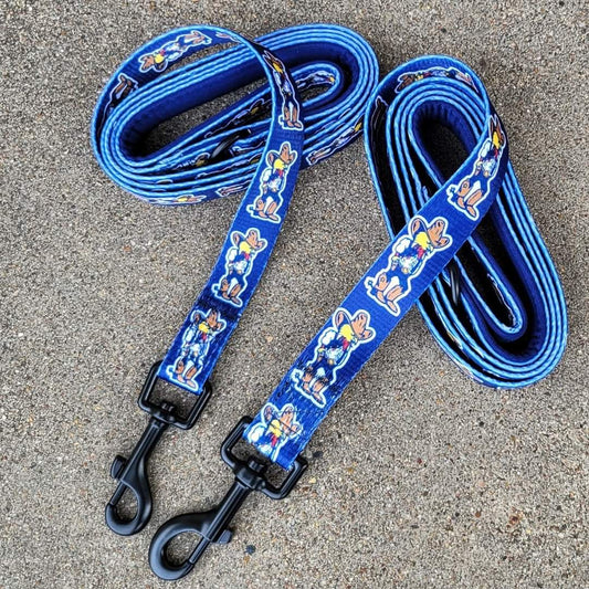 Dog Leash