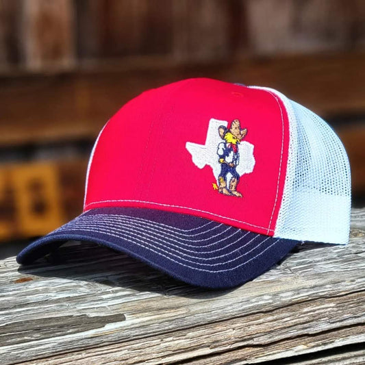 Texas Hat