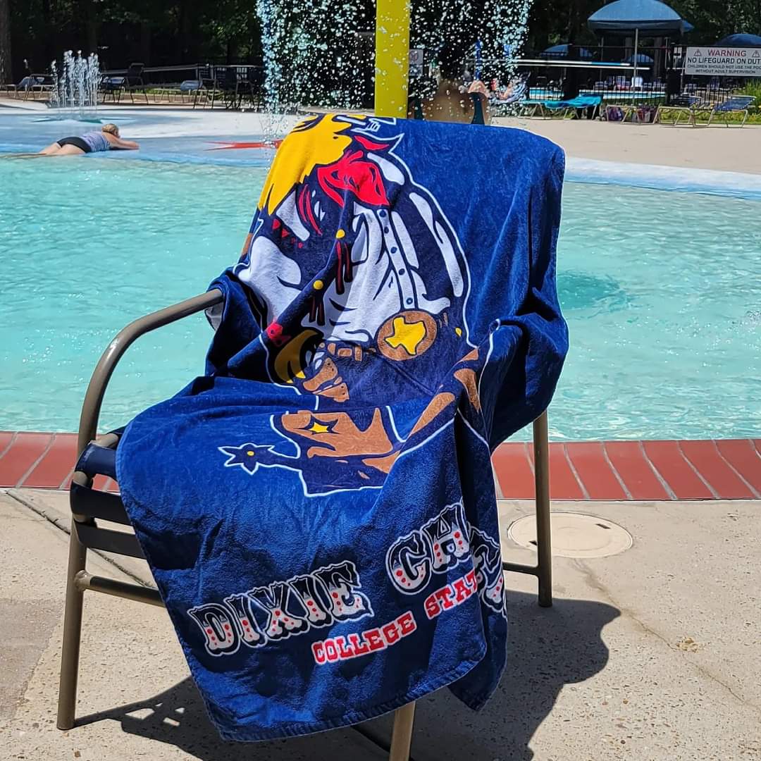 Beach Towel