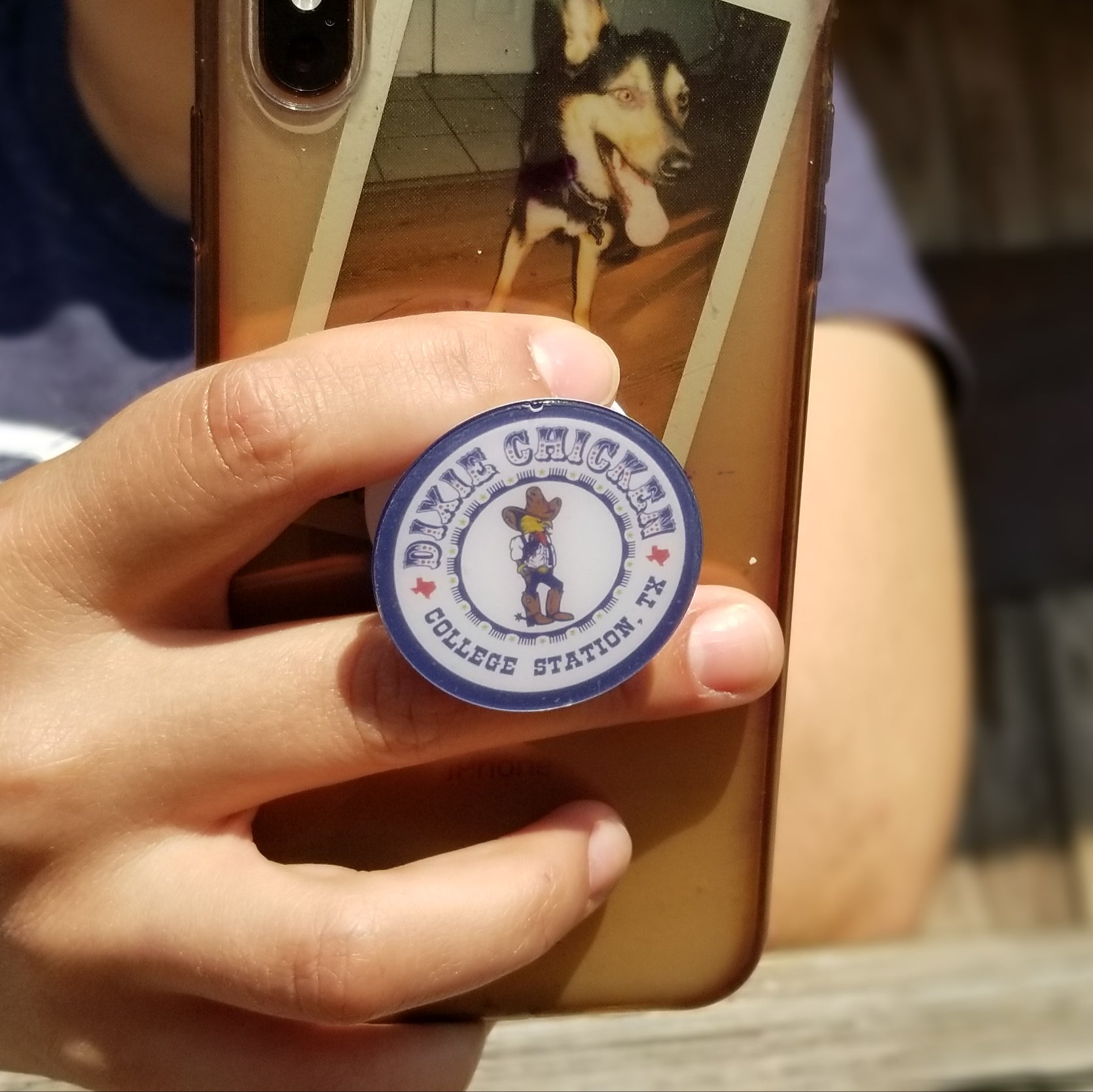 Dixie Chicken Phone Socket