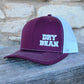 Dry Bean Logo Hat